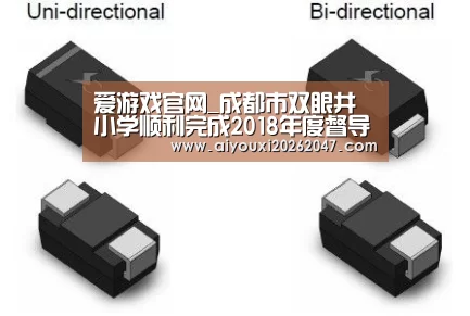 爱游戏官网_成都市双眼井小学顺利完成2018年度督导工作(图1) 爱游戏官方